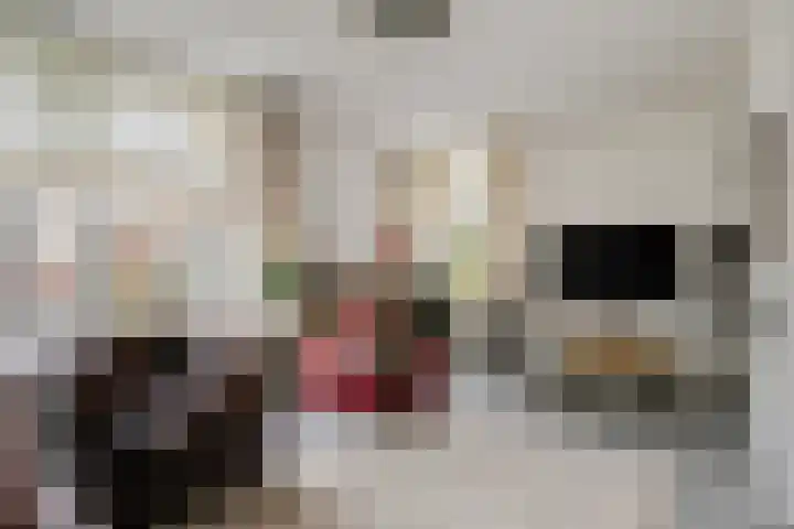 Rhônelaan 26 Eindhoven thumbnail 6