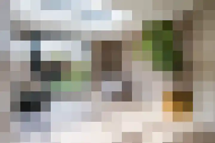 Rhônelaan 7 Eindhoven thumbnail 14