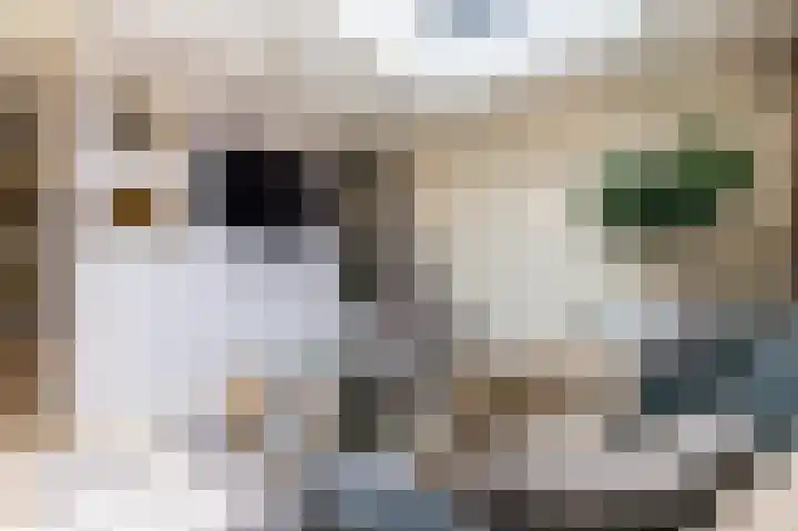 Rhônelaan 7 Eindhoven thumbnail 17