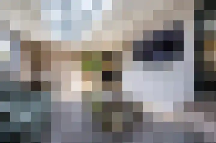Rhônelaan 7 Eindhoven thumbnail 18