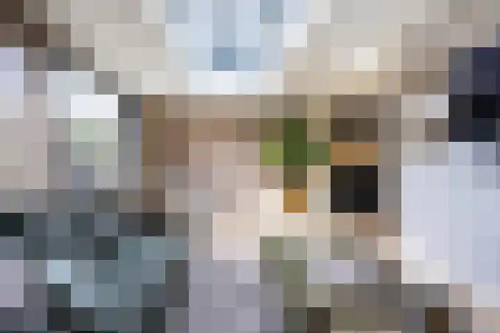 Rhônelaan 7 Eindhoven thumbnail 19