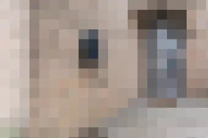 Rhônelaan 7 Eindhoven thumbnail 9