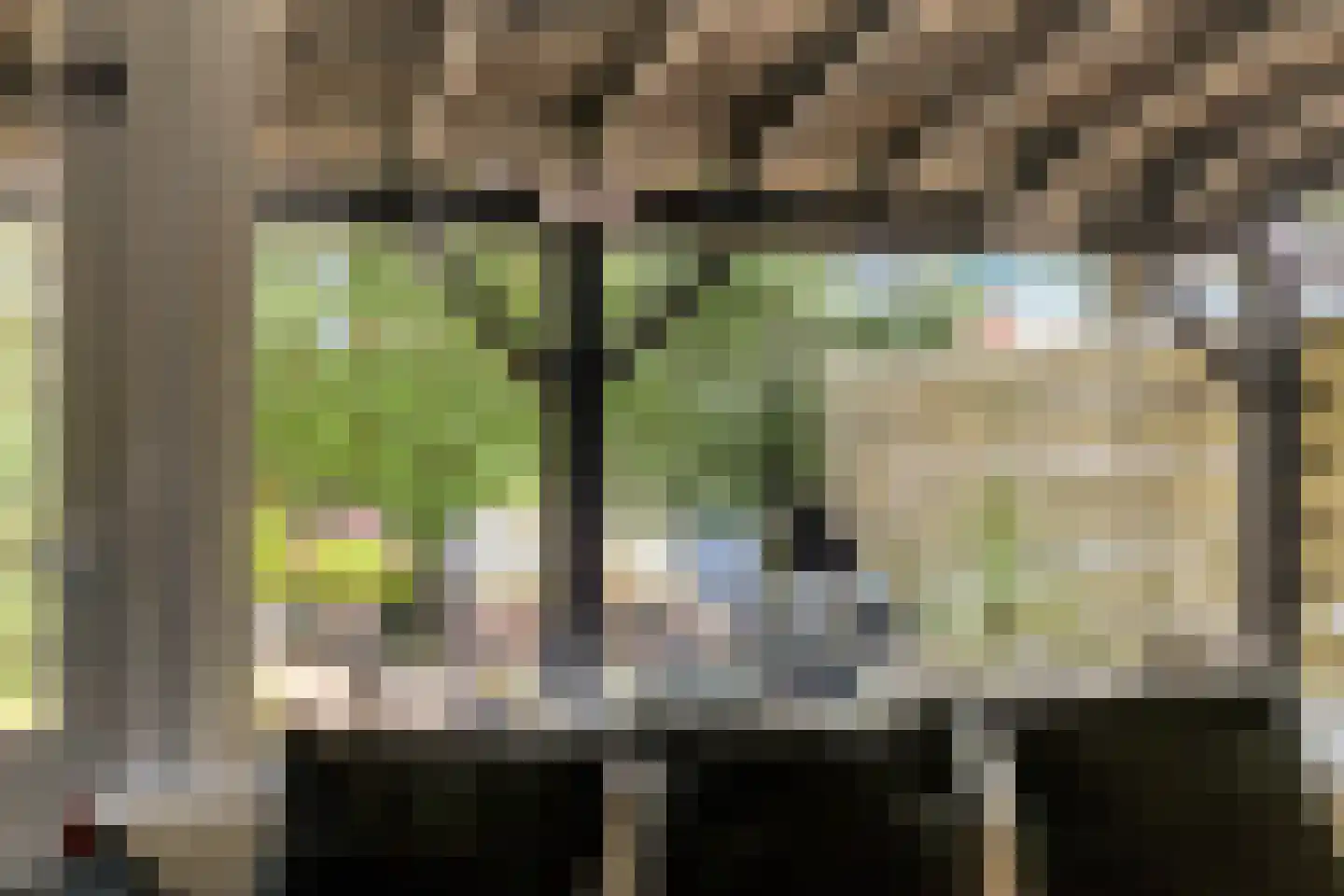 Rhônepad 13 Assen thumbnail 17