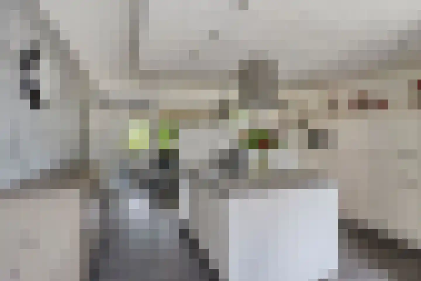 Rhônepad 13 Assen thumbnail 24