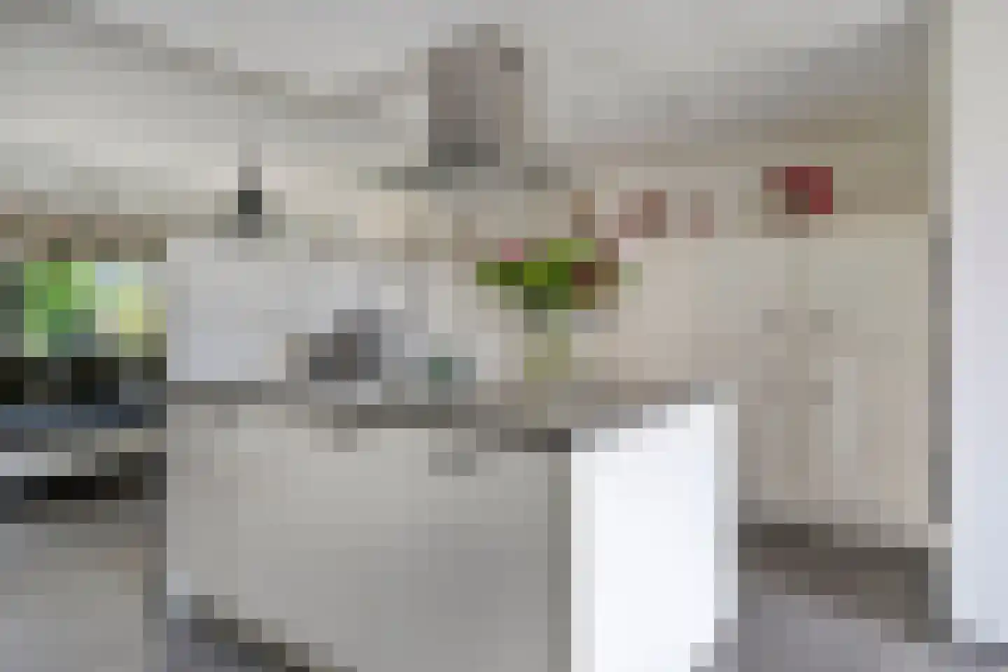 Rhônepad 13 Assen thumbnail 25