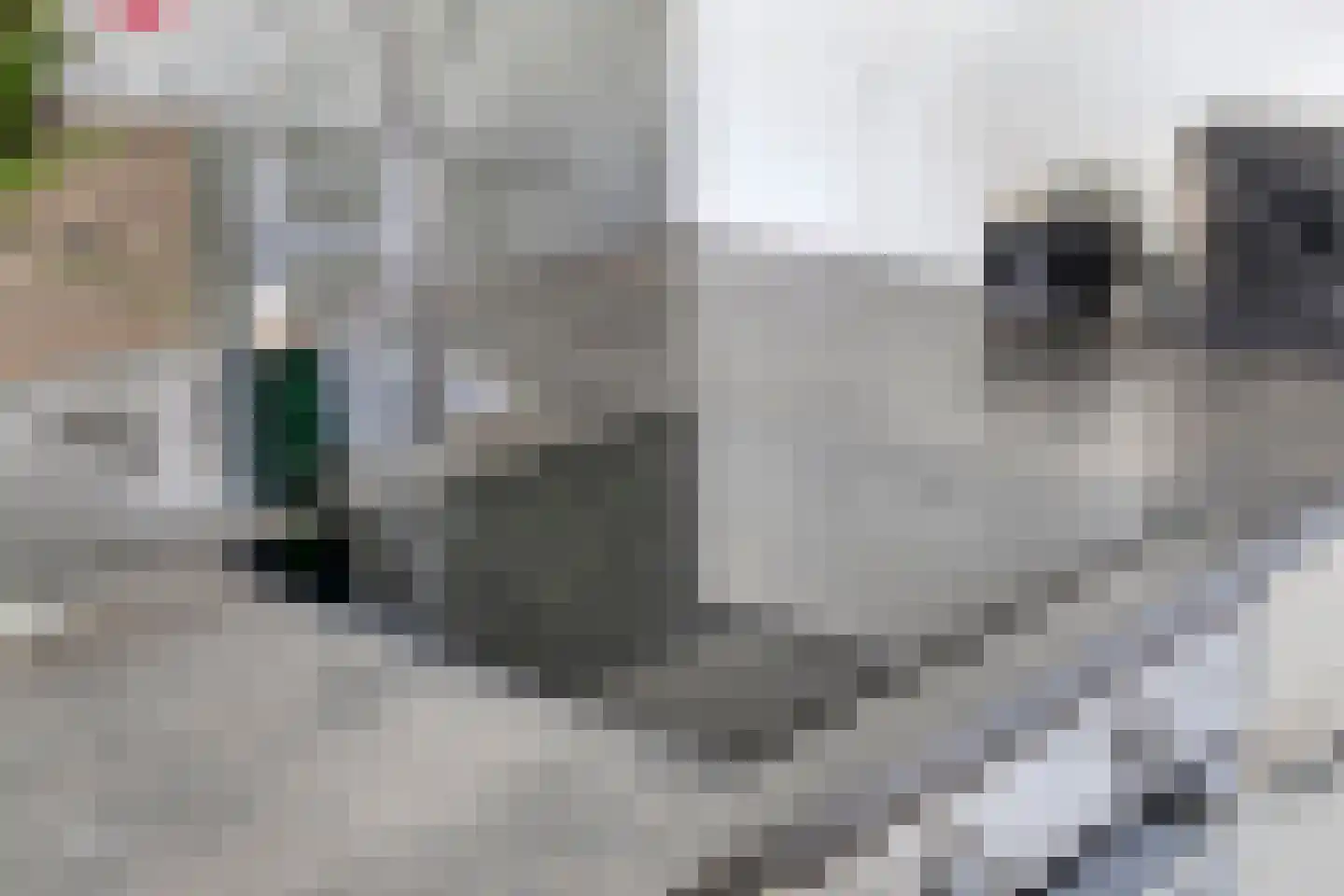 Rhônepad 13 Assen thumbnail 26
