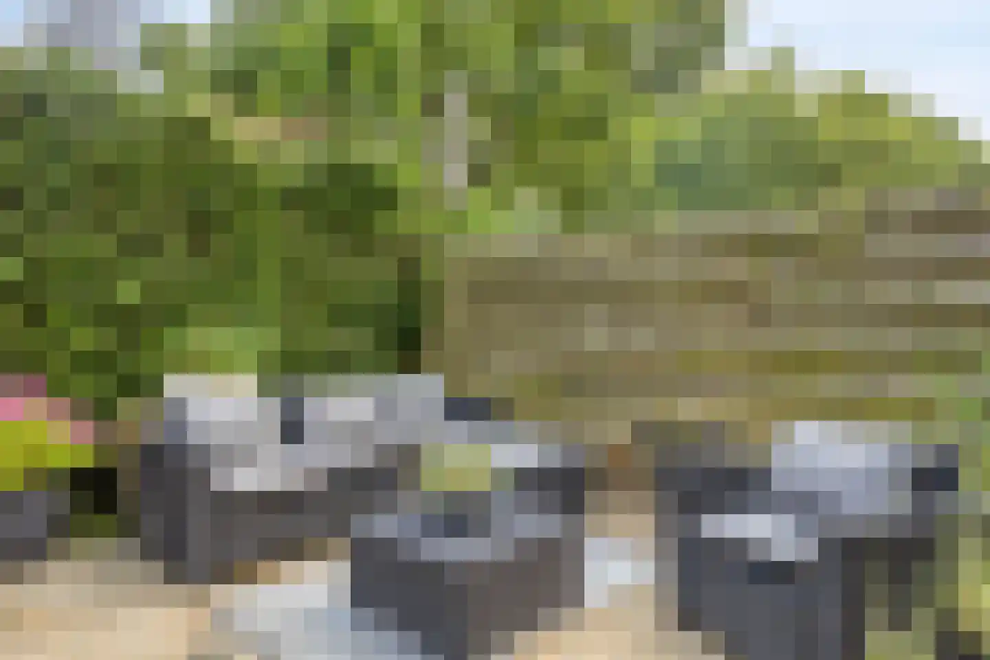 Rhônepad 13 Assen thumbnail 47