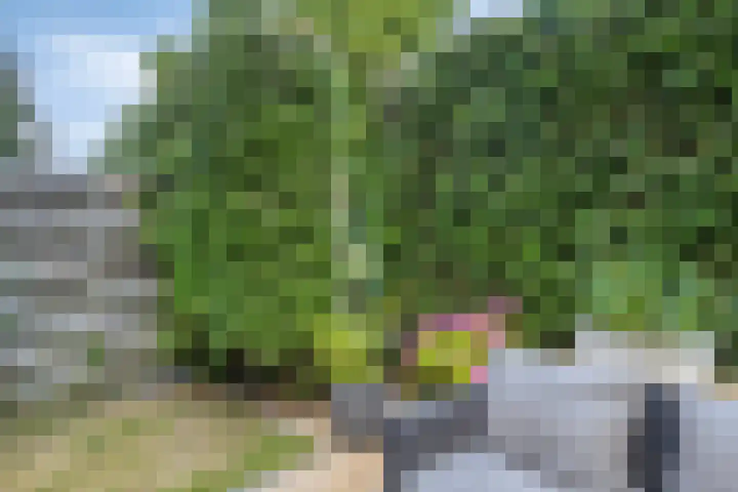 Rhônepad 13 Assen thumbnail 48
