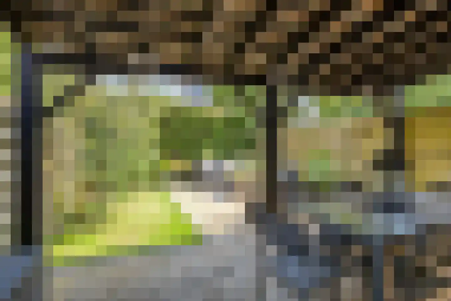 Rhônepad 13 Assen thumbnail 6