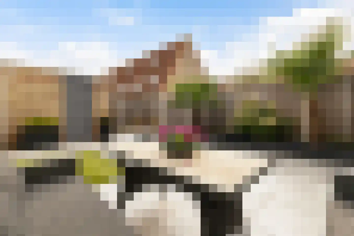 Rhônestraat 101 Lelystad thumbnail 39