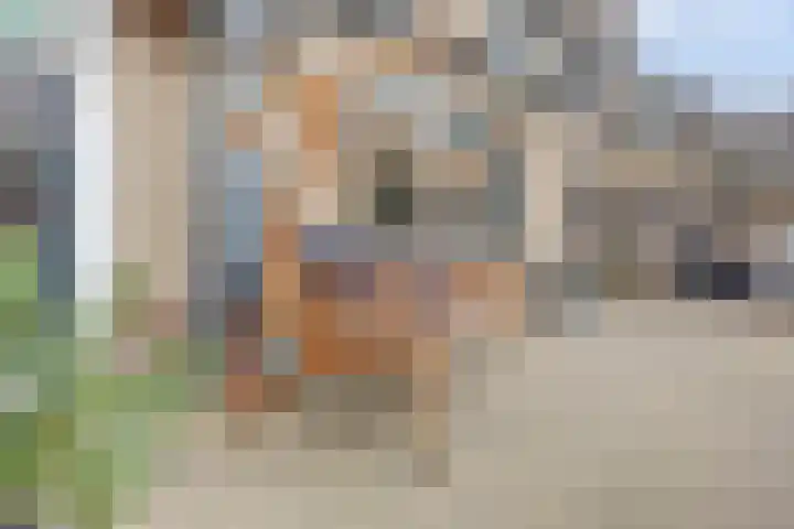 Rhônestraat 2 Spijkenisse thumbnail 14