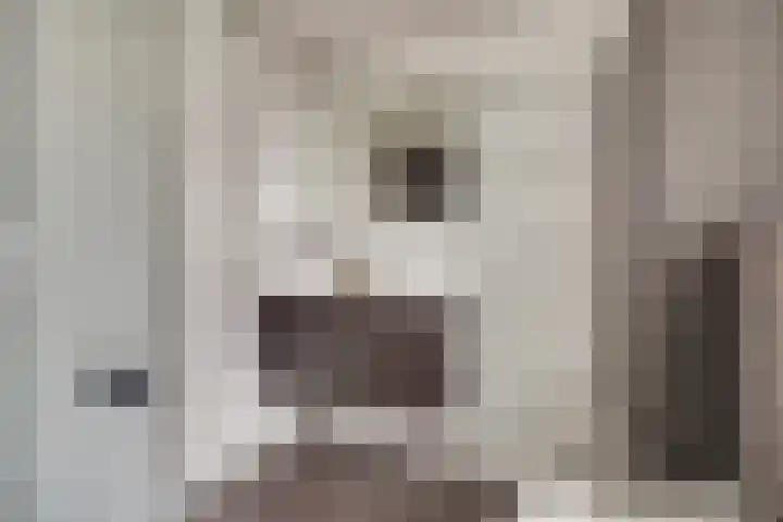 Rhônestraat 2 Spijkenisse thumbnail 18