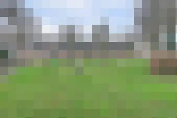 Rhônestraat 2 Spijkenisse thumbnail 33