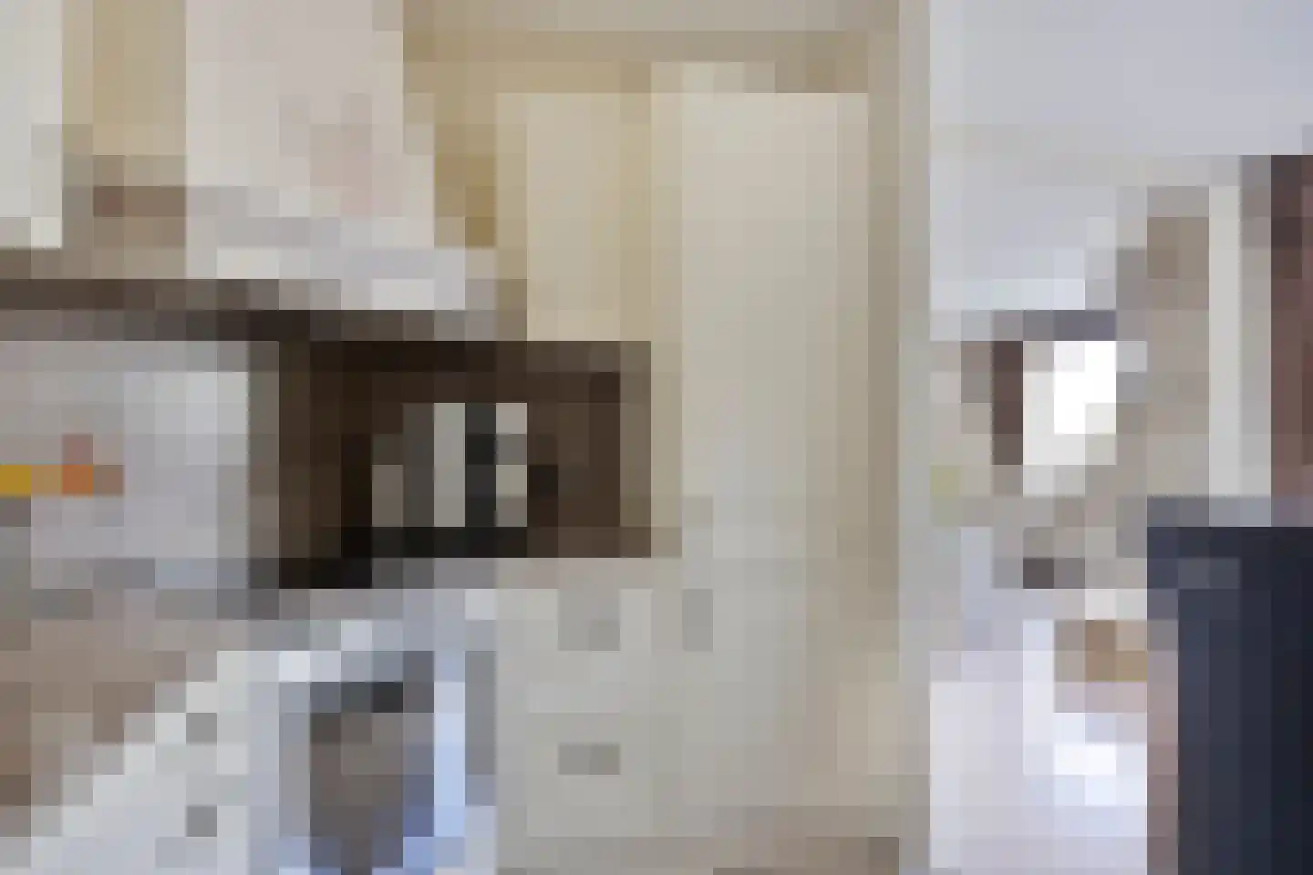 Rhônestraat 29 Spijkenisse thumbnail 12