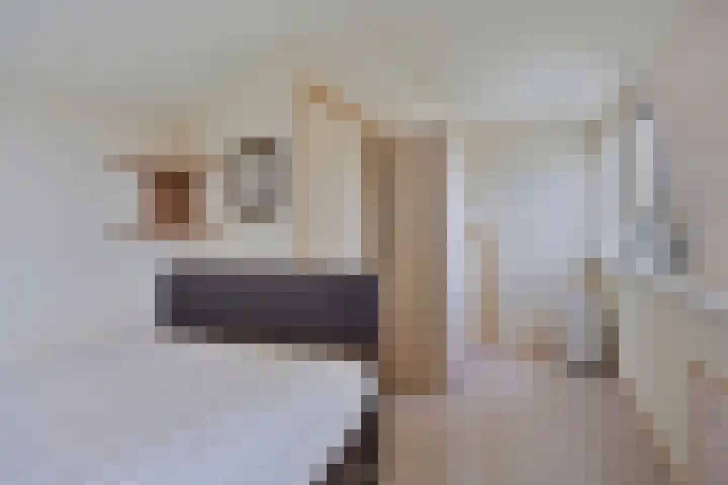 Rhônestraat 29 Spijkenisse thumbnail 23