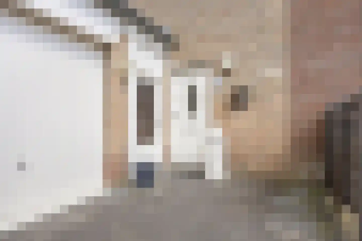 Rhônestraat 29 Spijkenisse thumbnail 32