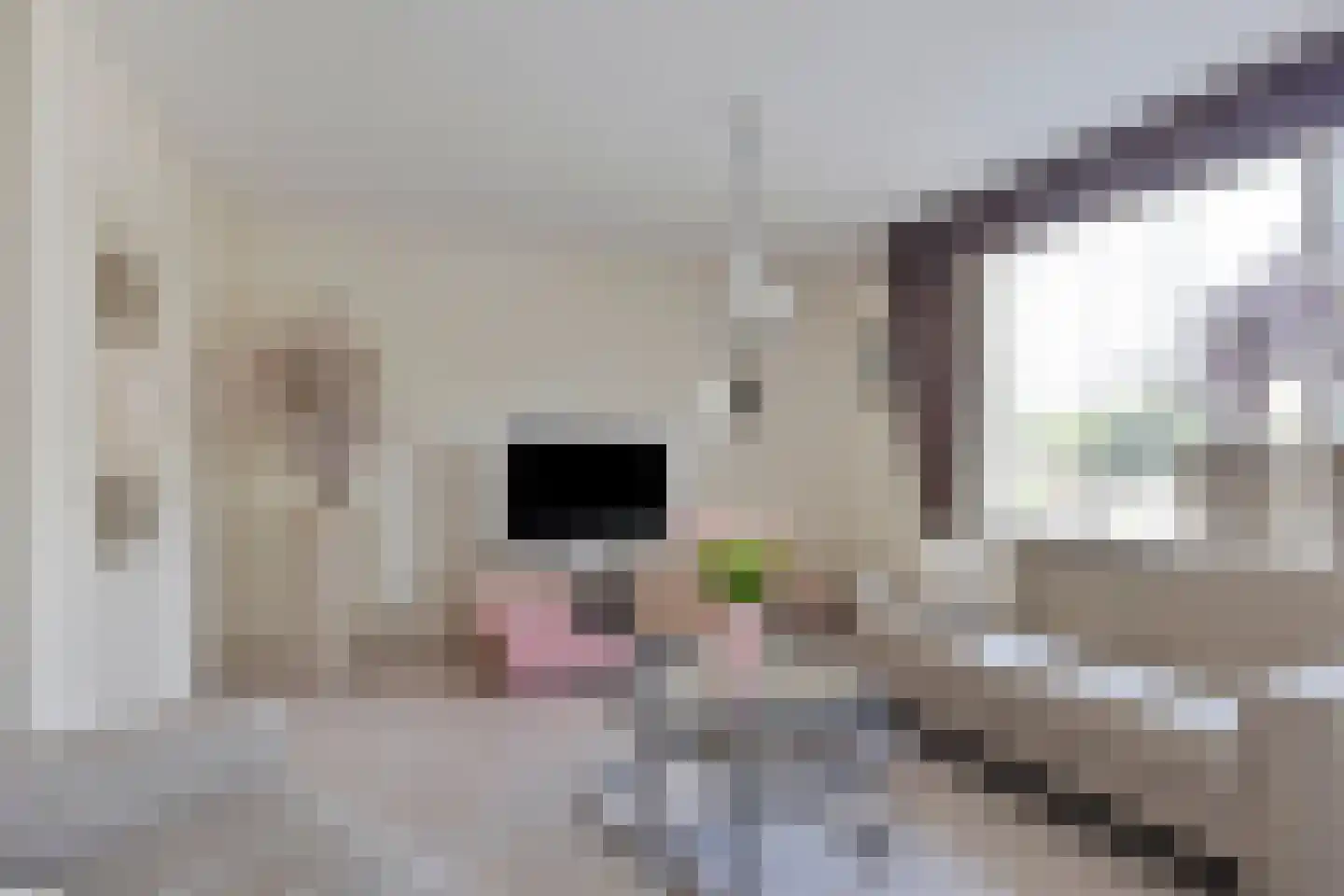 Rhônestraat 29 Spijkenisse thumbnail 4