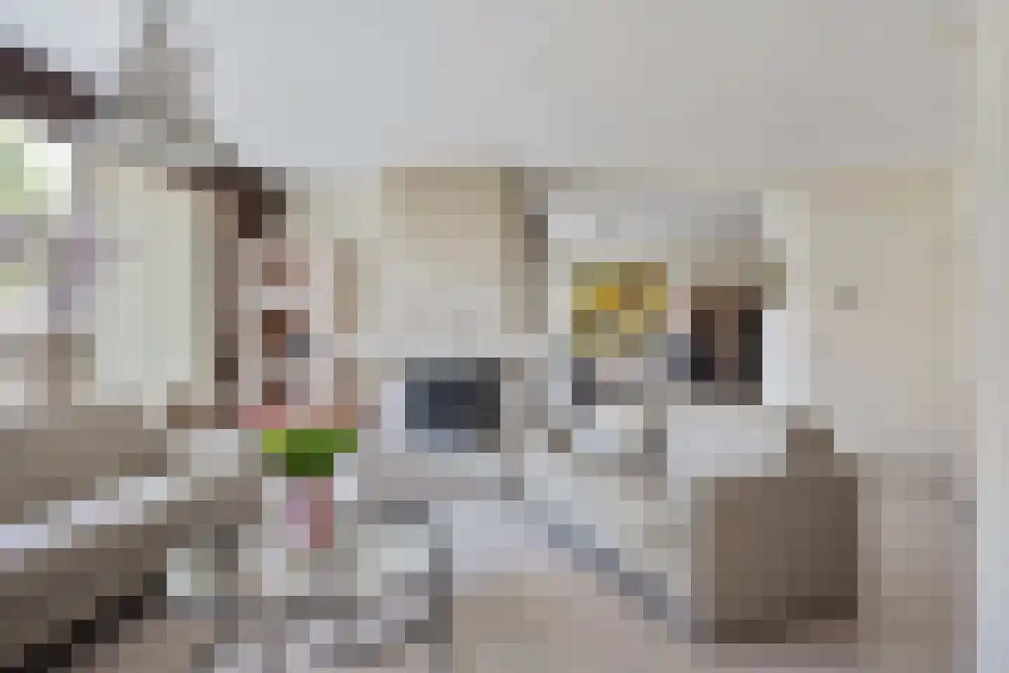 Rhônestraat 29 Spijkenisse thumbnail 5
