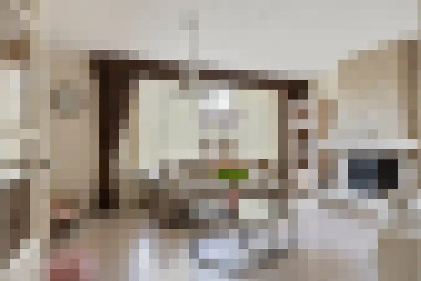 Rhônestraat 29 Spijkenisse thumbnail 7