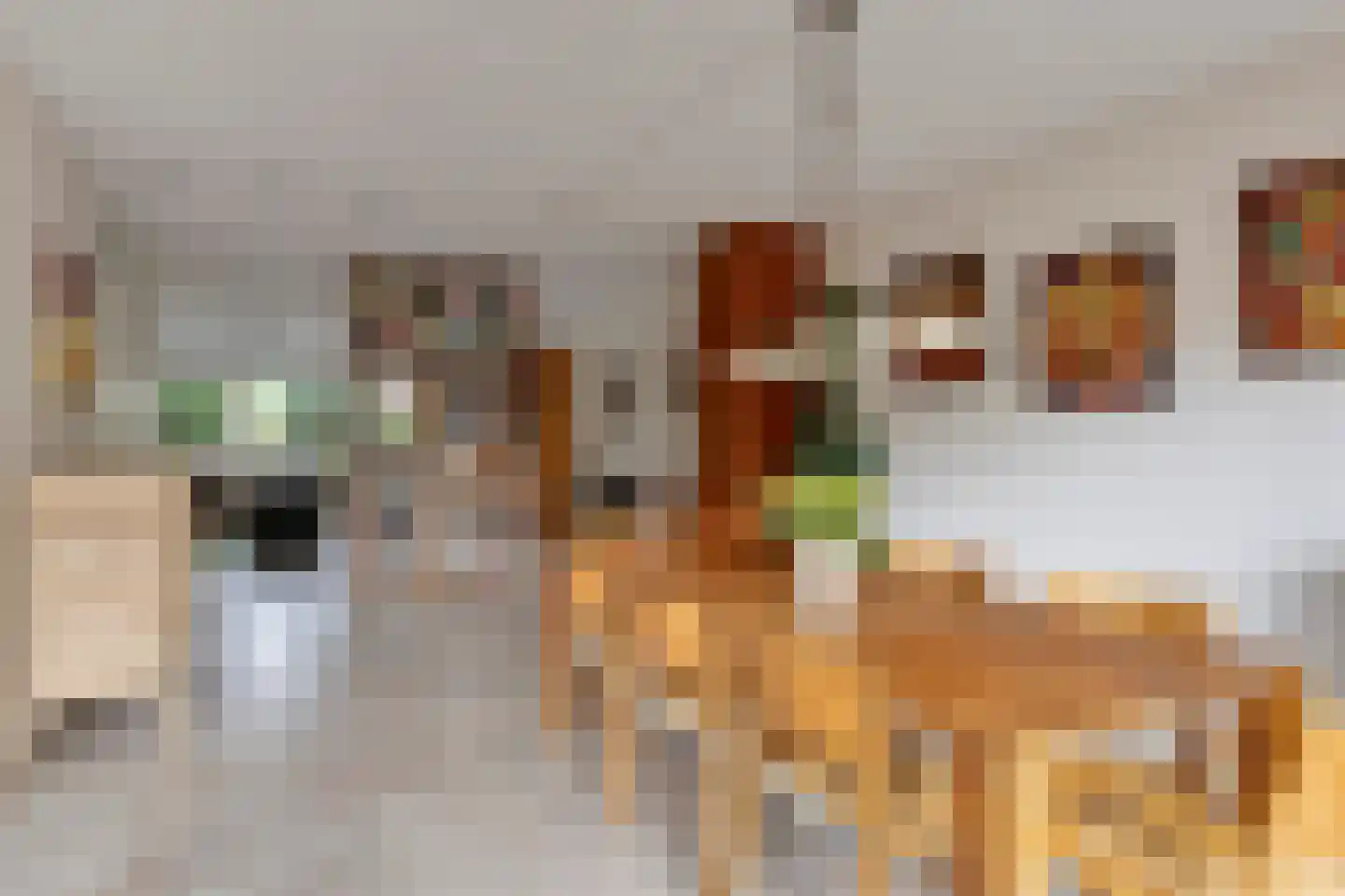 Rhônestroom 22 Zoetermeer thumbnail 10