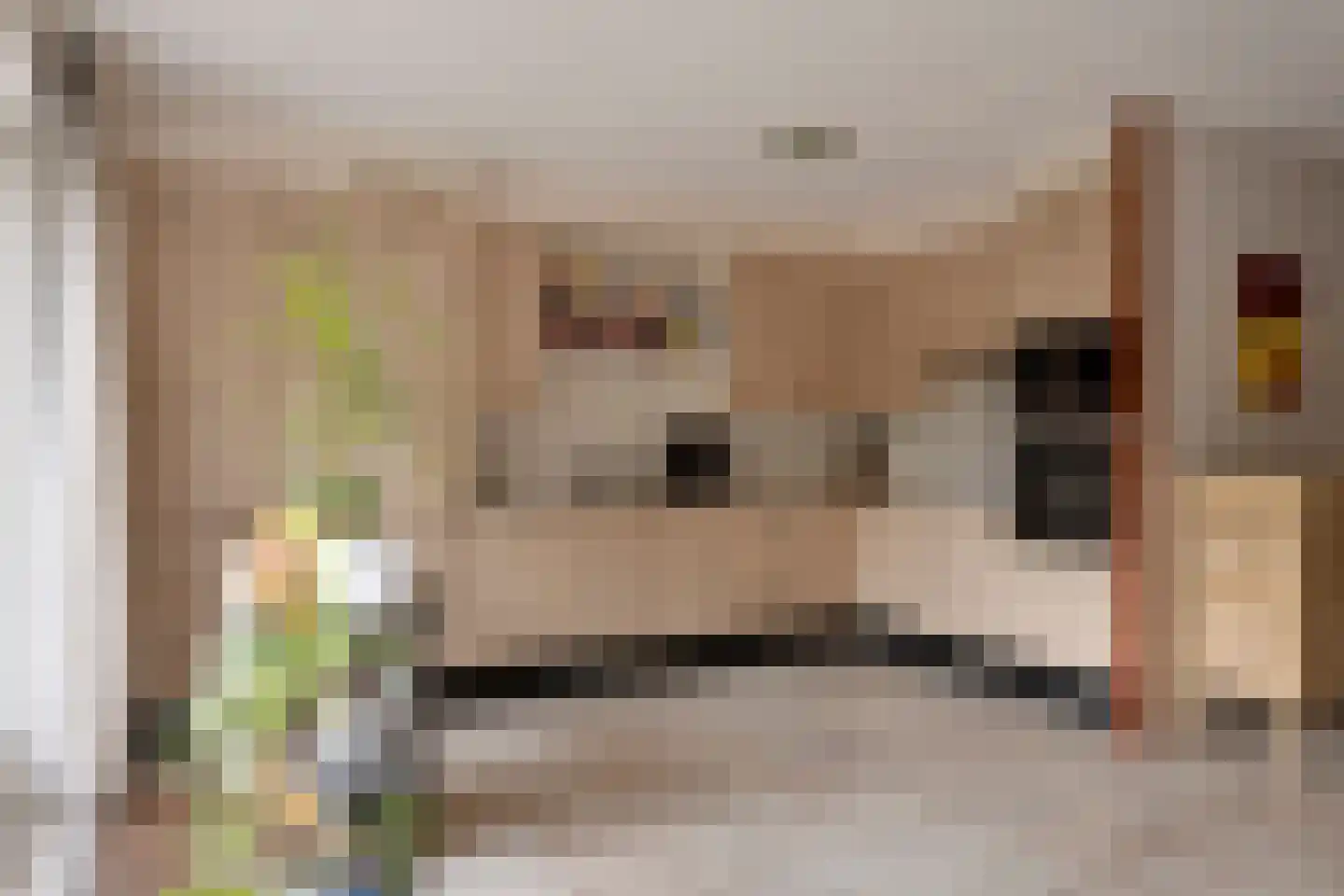 Rhônestroom 22 Zoetermeer thumbnail 12