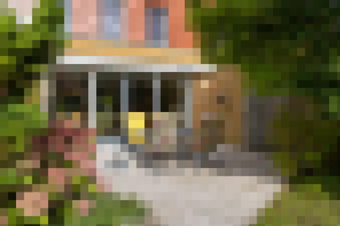 Rhônestroom 22 Zoetermeer thumbnail 14