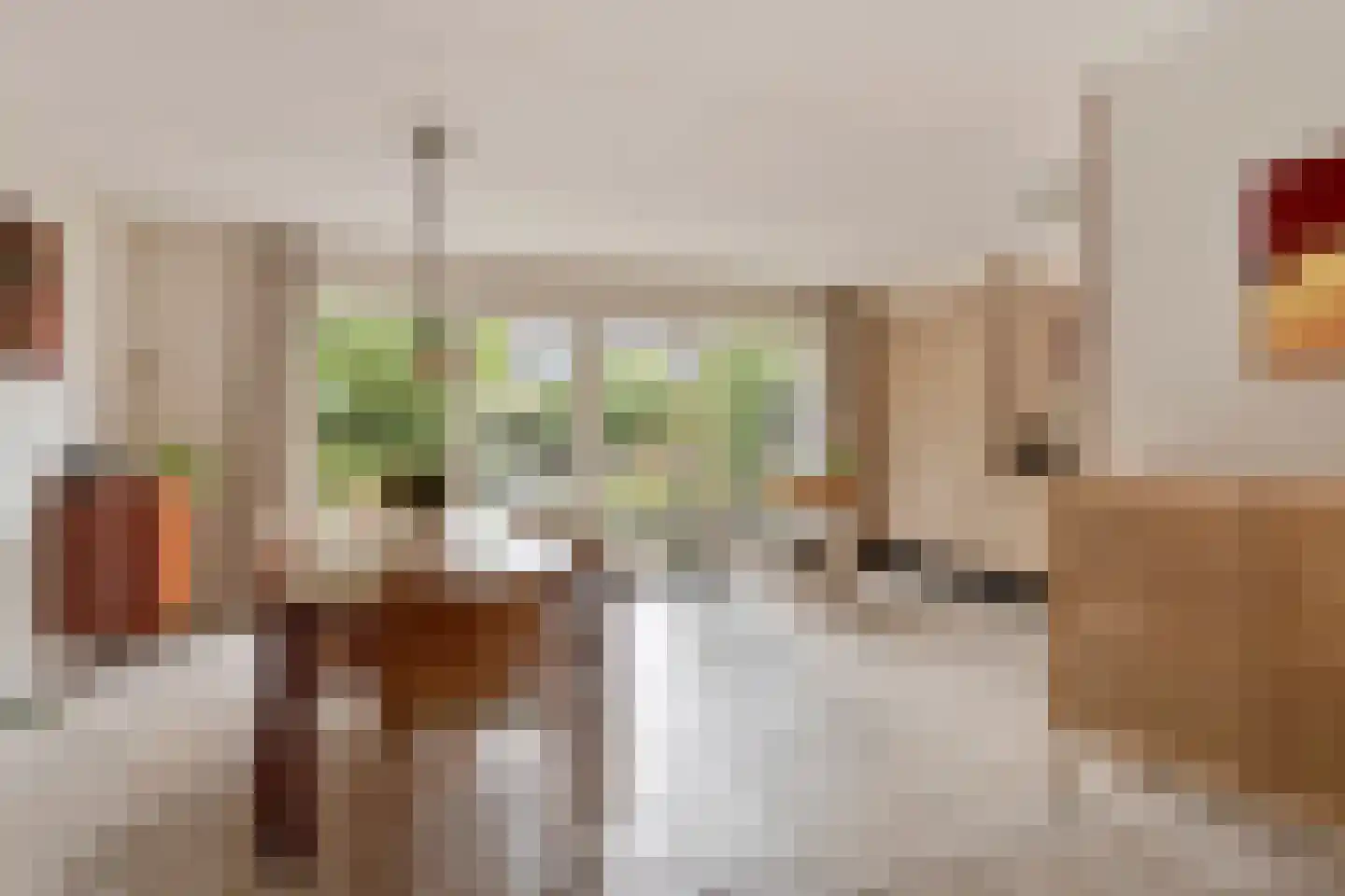 Rhônestroom 22 Zoetermeer thumbnail 8