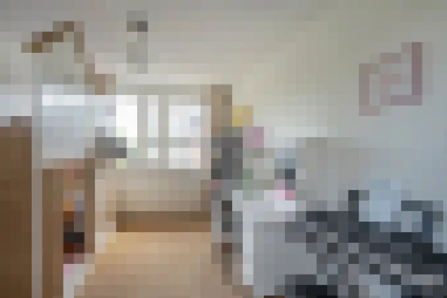Rhoonstraat 2 Zoetermeer thumbnail 23
