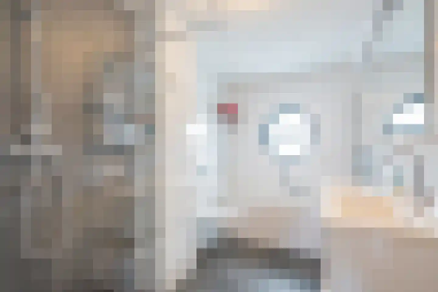 Rhoonstraat 2 Zoetermeer thumbnail 26