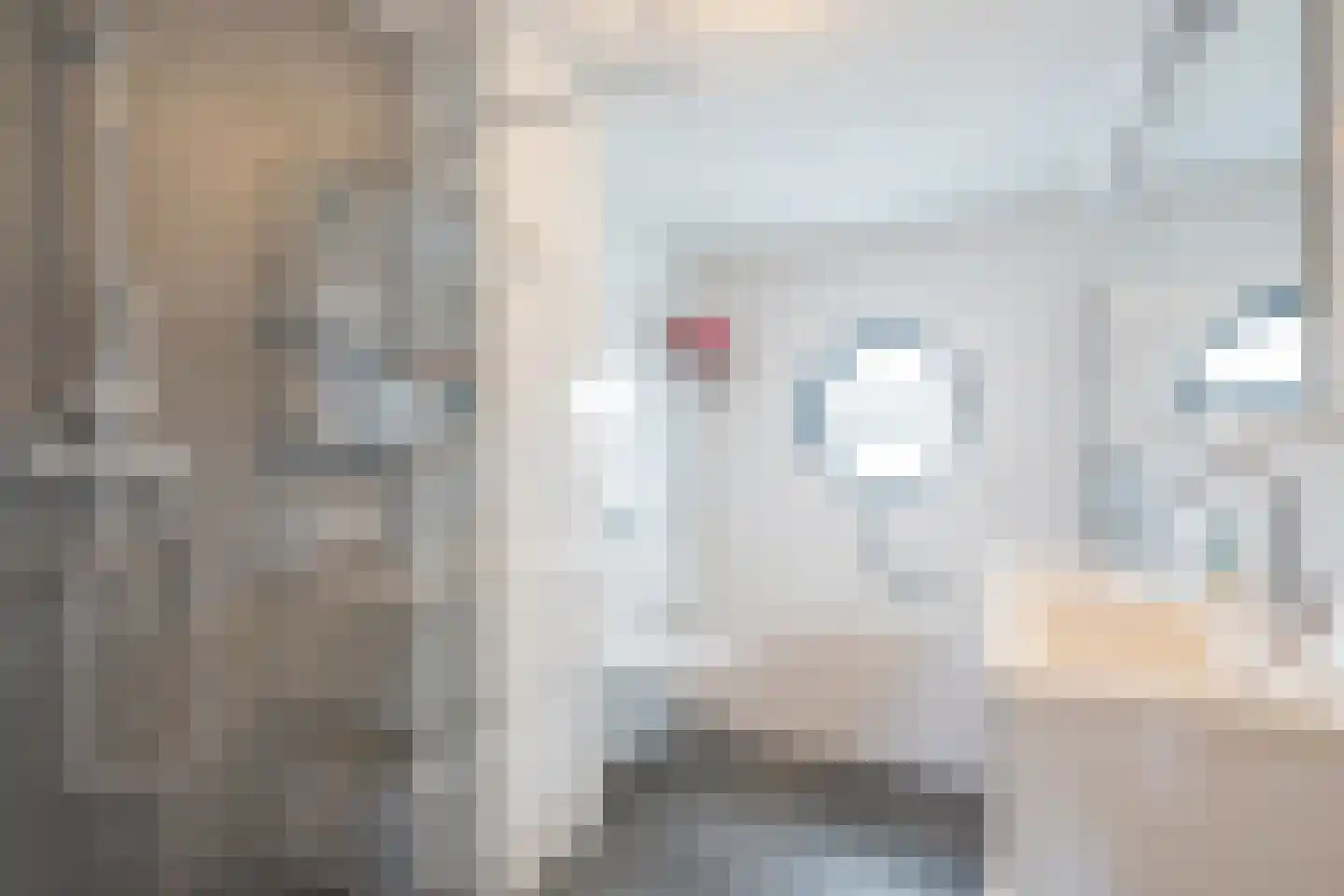 Rhoonstraat 2 Zoetermeer thumbnail 4