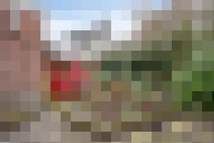 Rhulenhofweide 36 Helmond thumbnail 20