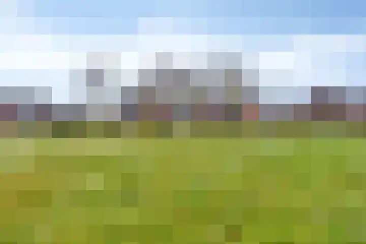 Rhulenhofweide 36 Helmond thumbnail 22