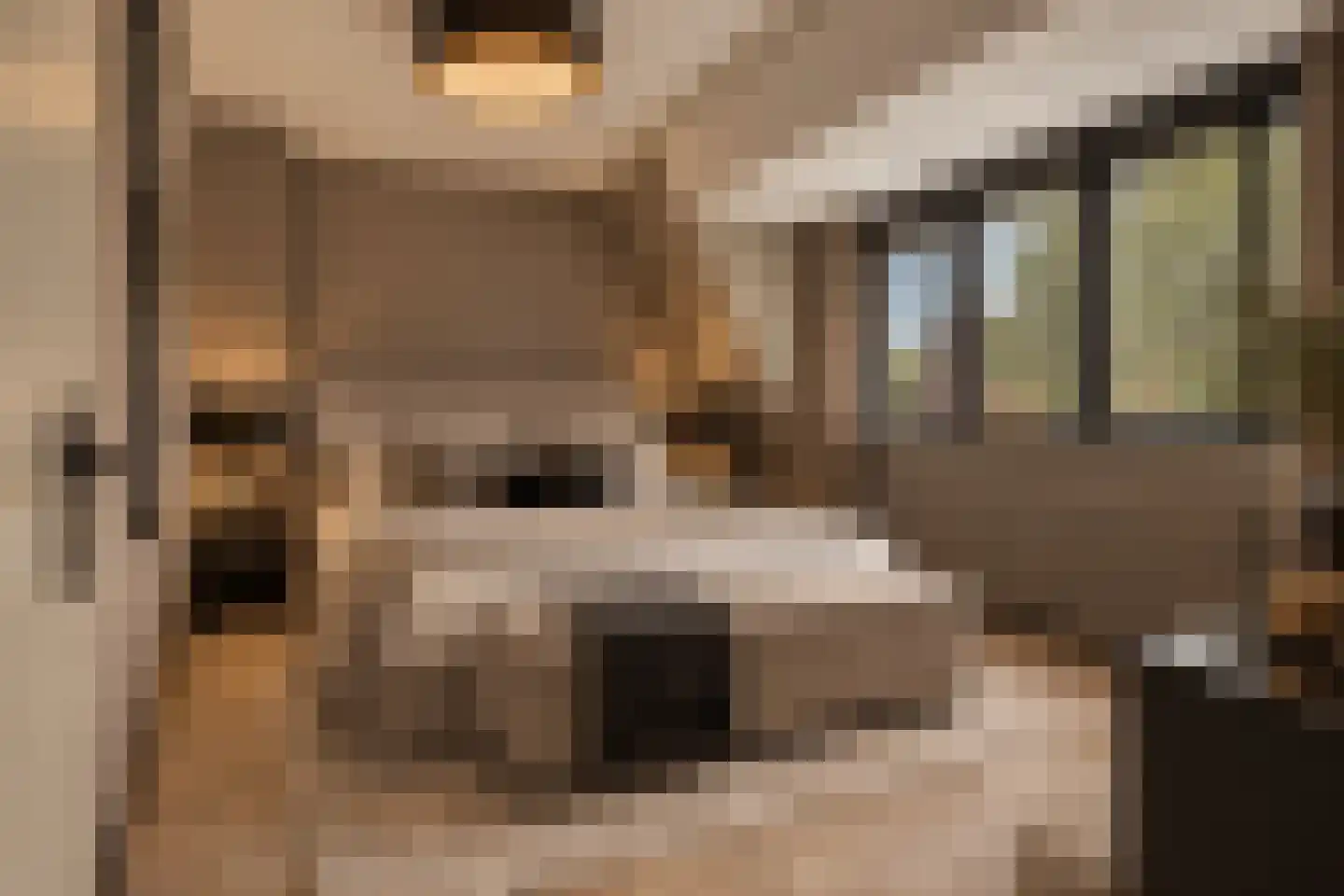 Rhulenhofweide 48 Helmond thumbnail 34