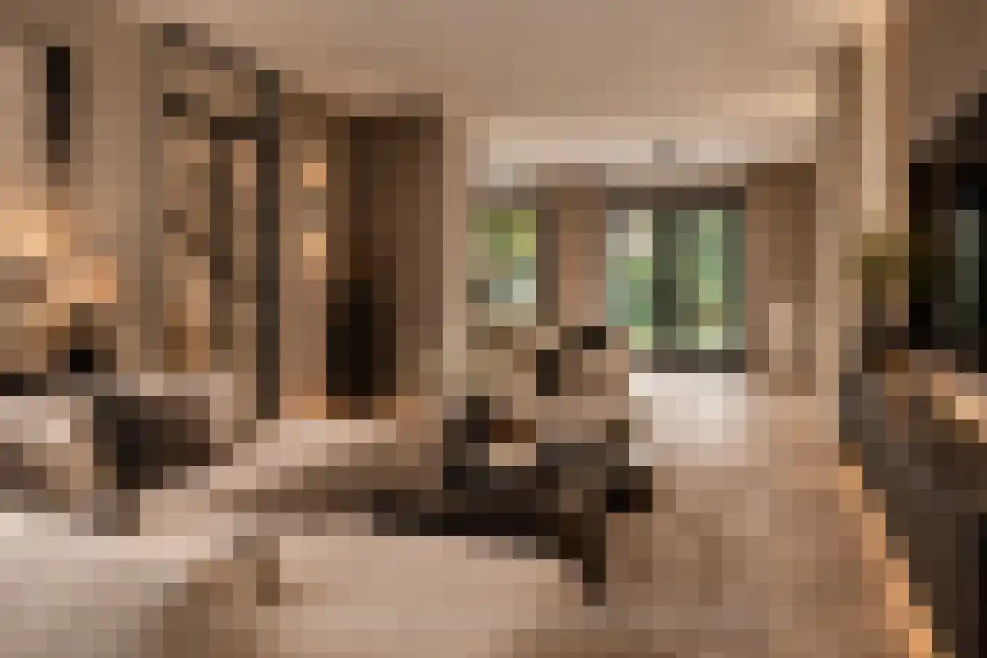 Rhulenhofweide 48 Helmond thumbnail 6