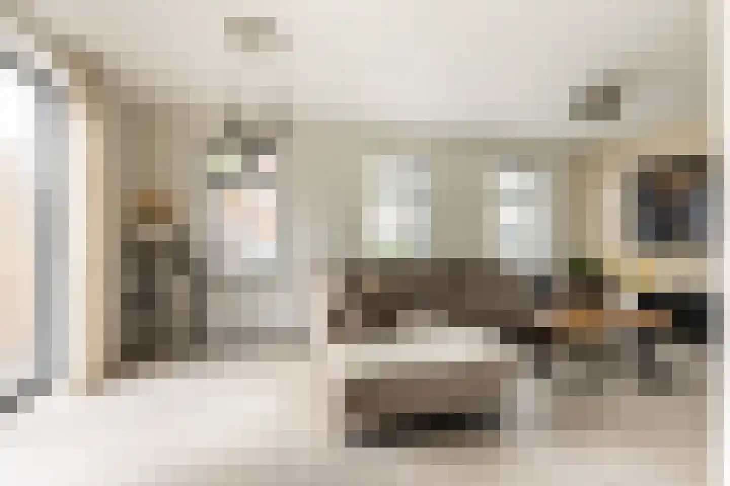 Rialaan 22 a Oostvoorne thumbnail 15