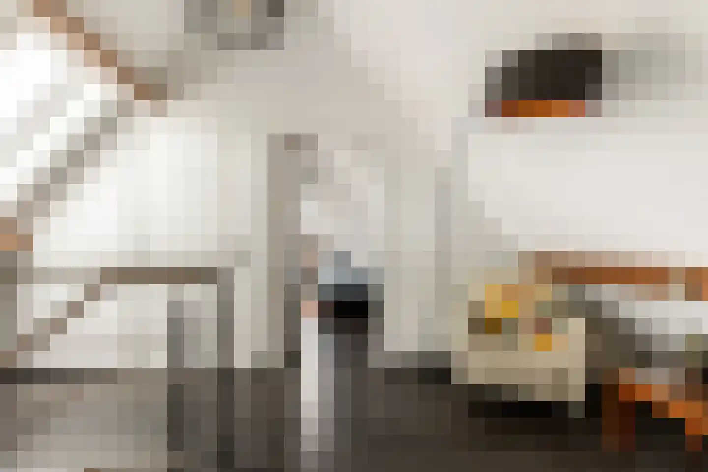 Rialaan 22 a Oostvoorne thumbnail 35