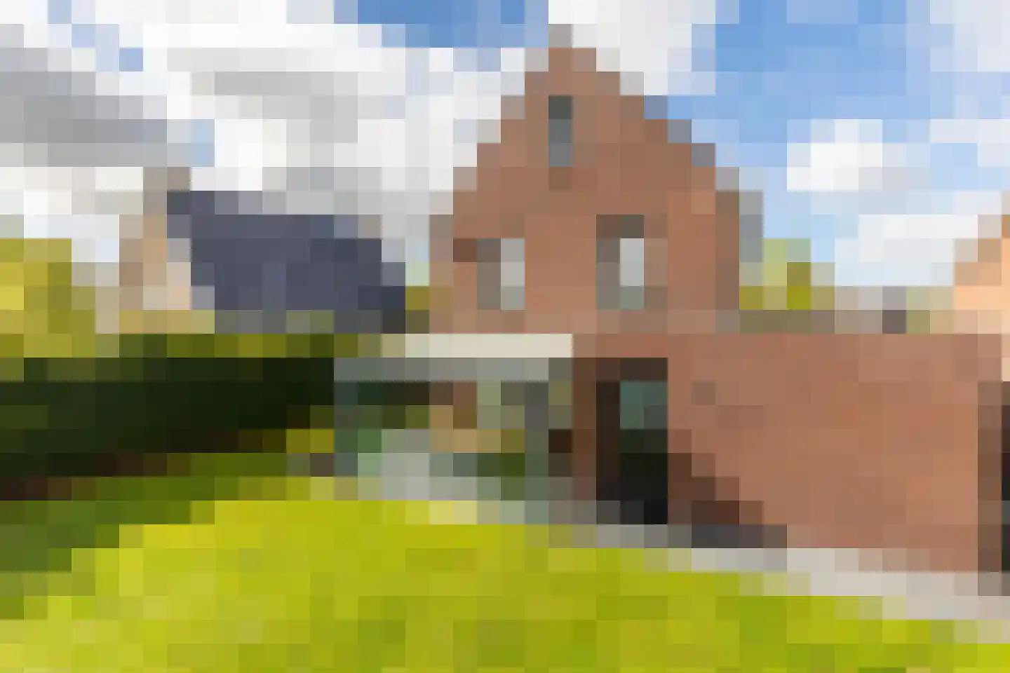 Rialaan 22 a Oostvoorne thumbnail 42