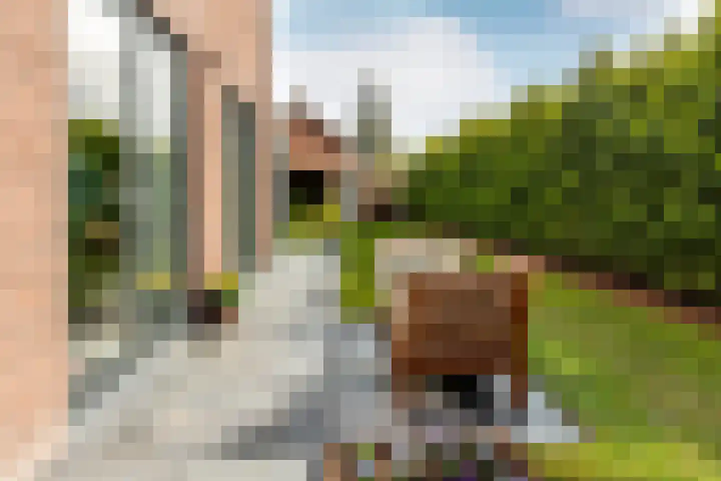 Rialaan 22 a Oostvoorne thumbnail 43