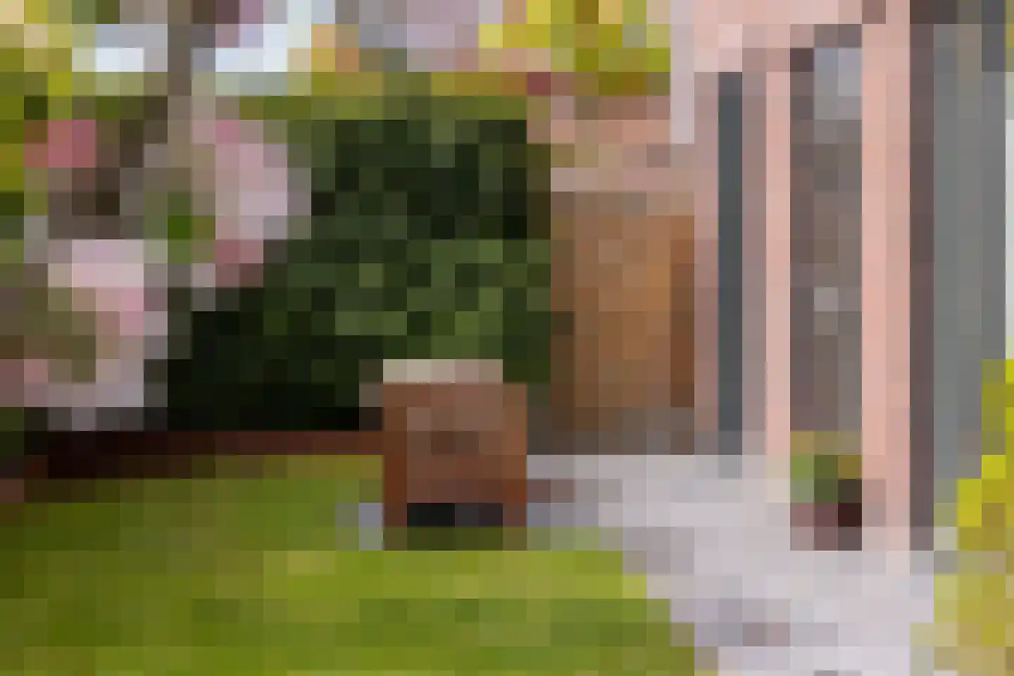 Rialaan 22 a Oostvoorne thumbnail 44