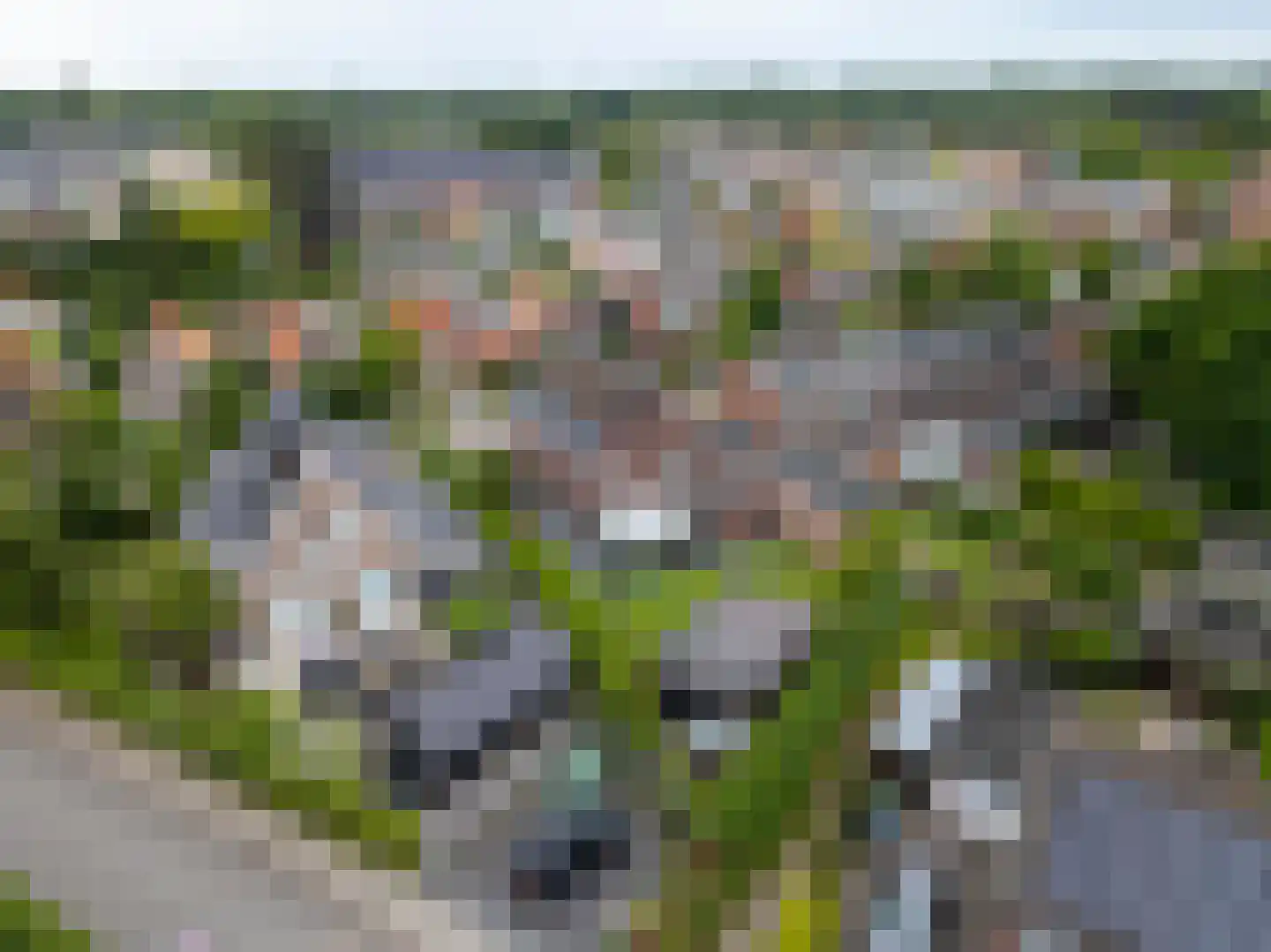 Rialaan 22 a Oostvoorne thumbnail 56