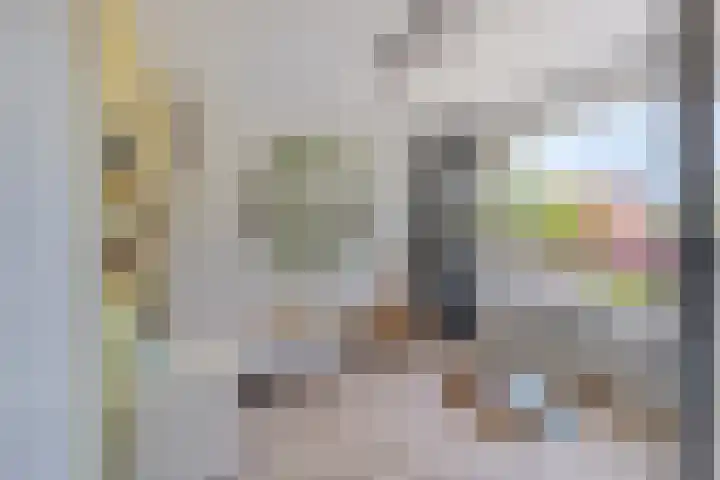 Rialaan 24 Oostvoorne thumbnail 16