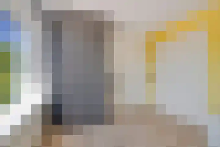 Rialaan 24 Oostvoorne thumbnail 17