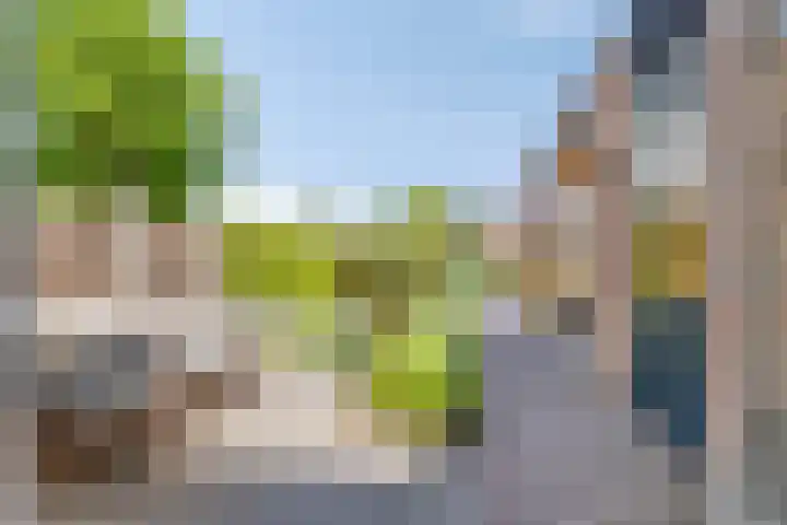 Rialaan 24 Oostvoorne thumbnail 24