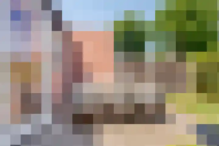 Rialaan 24 Oostvoorne thumbnail 25