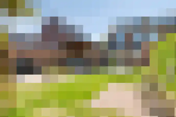 Rialaan 24 Oostvoorne thumbnail 26