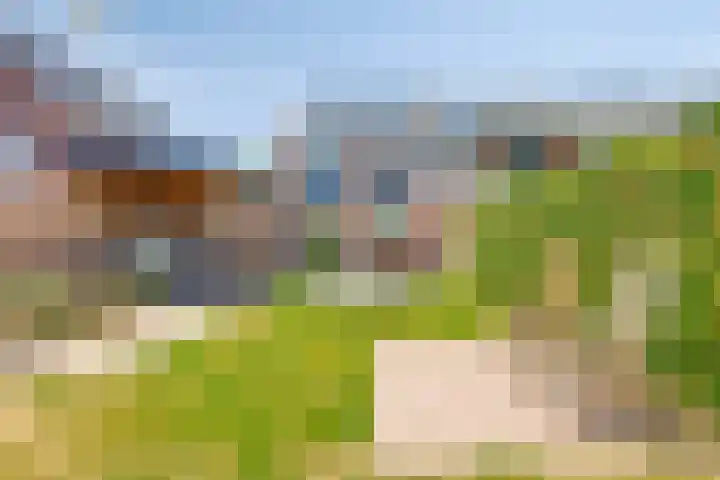 Rialaan 24 Oostvoorne thumbnail 4