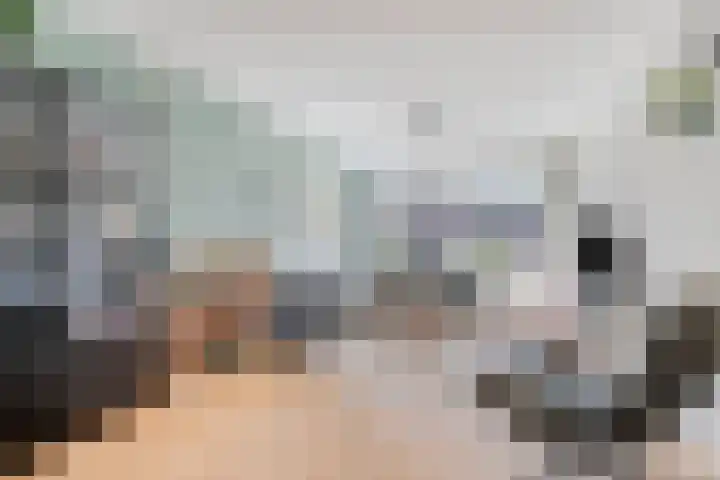 Rialaan 24 Oostvoorne thumbnail 8