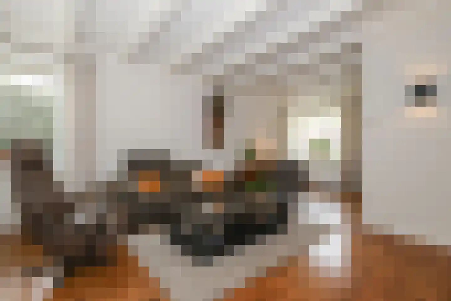 Rialaan 27 Oostvoorne thumbnail 16