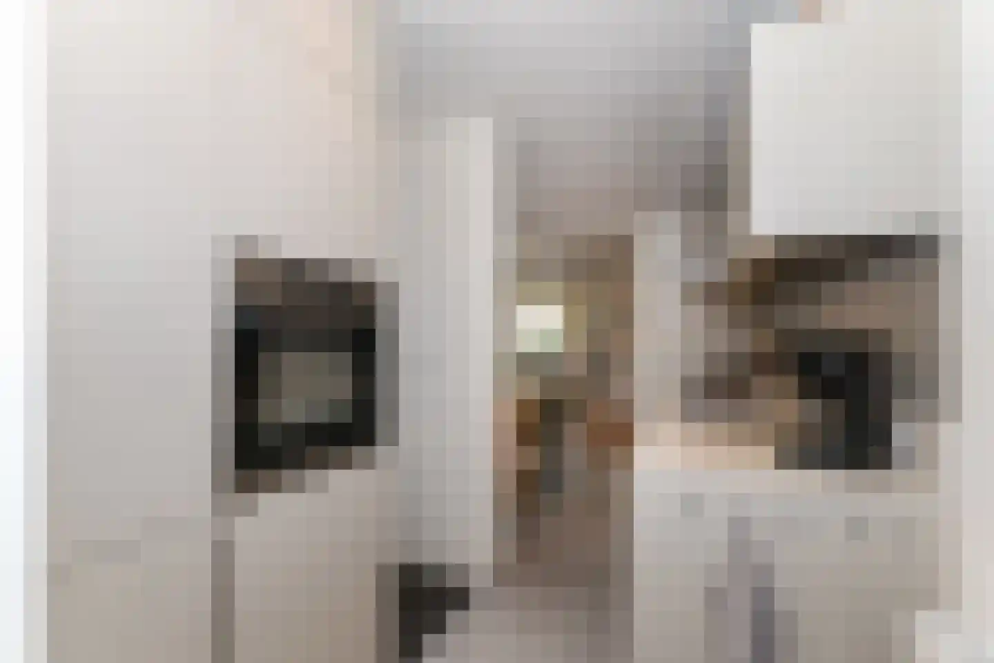 Rialaan 27 Oostvoorne thumbnail 25
