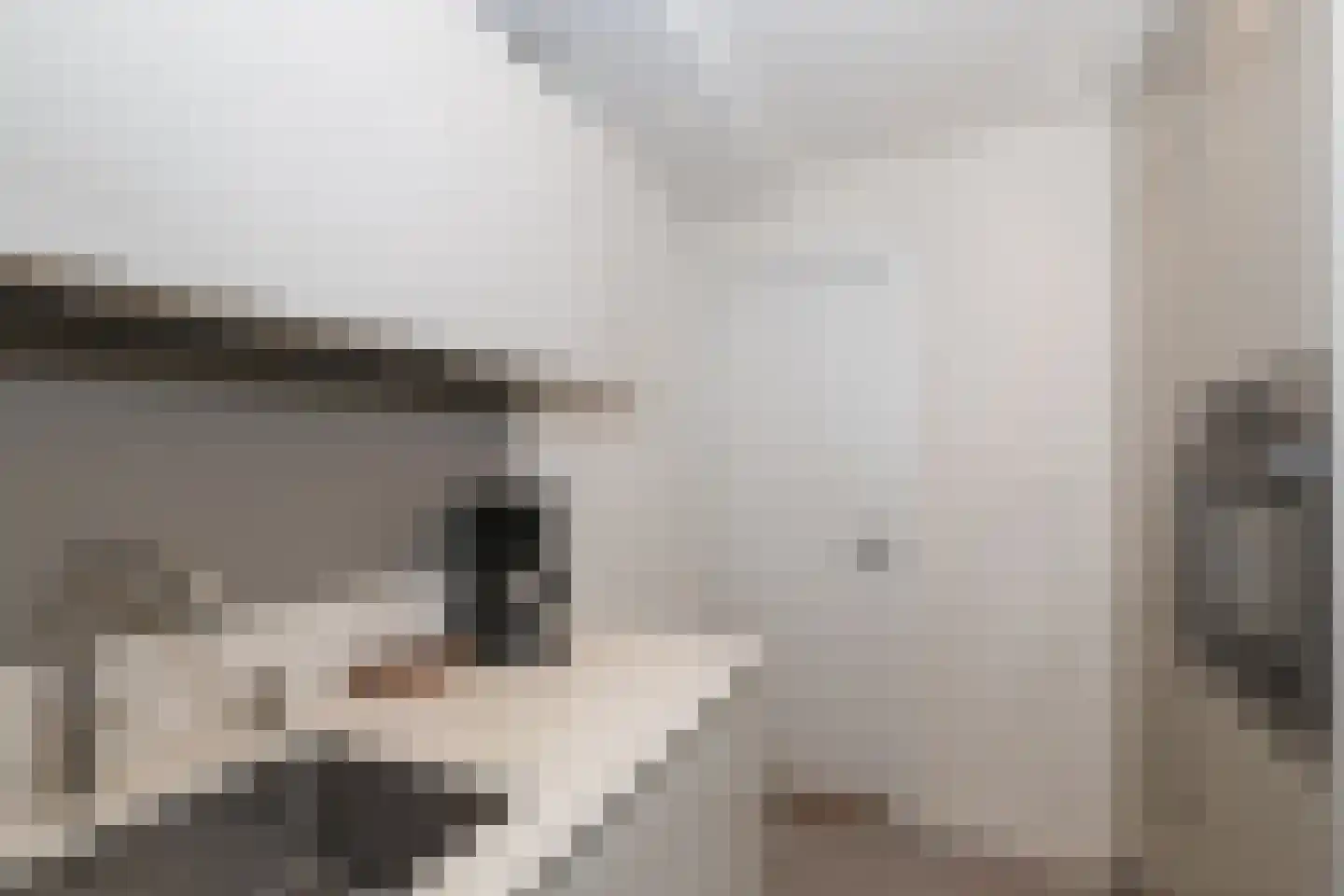 Rialaan 27 Oostvoorne thumbnail 27